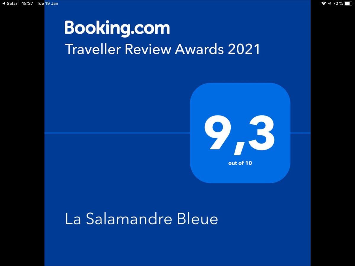 La Salamandre Bleue Villa Chantemerle-lès-Grignan Dış mekan fotoğraf