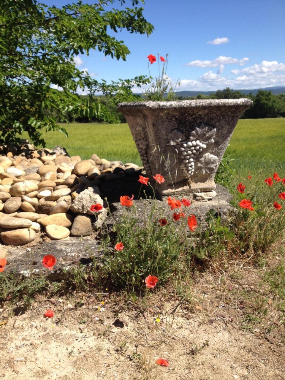 La Salamandre Bleue Villa Chantemerle-lès-Grignan Dış mekan fotoğraf